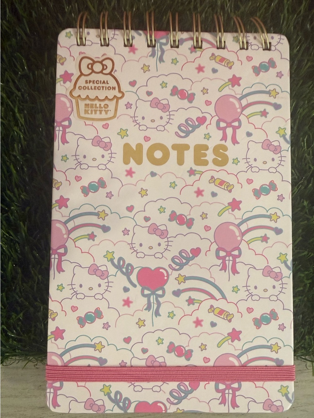 Sanrio Hello Kitty top spiral notebook - special collection